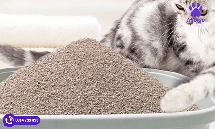 Thành phần có trong cát đất sét cho mèo là gì?